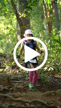 BIB:  <button type="button" onclick="openModal(27639495)" class="btn btn-primary btn-sm float-right" data-toggle="modal" data-target=".modal-high-quality">
                <i class="fa fa-download"></i> Download
                </button>